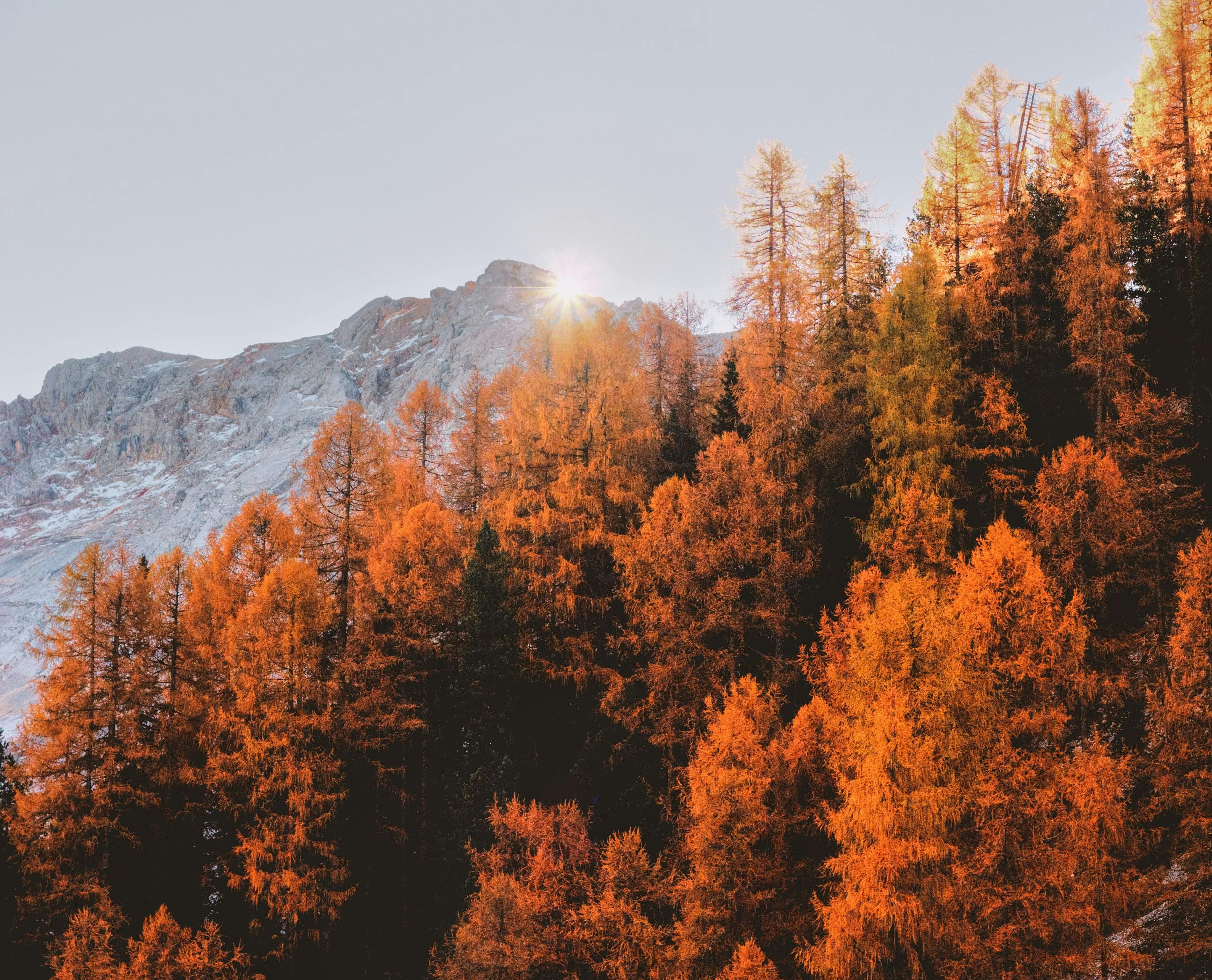 Bow Valley Mountains from the Lake